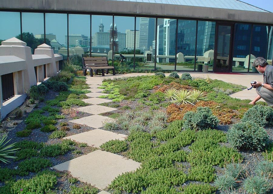 green roof
